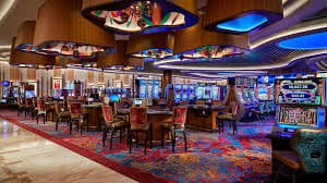 windd8 live casino
